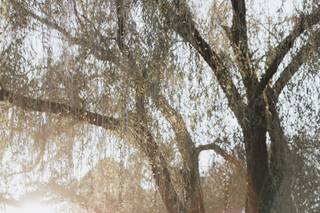 Julia W Photography - 10