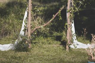 The Cottage Rose - 5