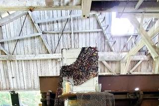 Tina’s Floral Creations and Rentals - 9