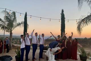 Blissful Weddings and Co. - 87