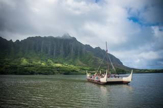 Marcia Campbell Photography - 6