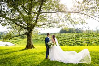 Montaluce Winery - 26
