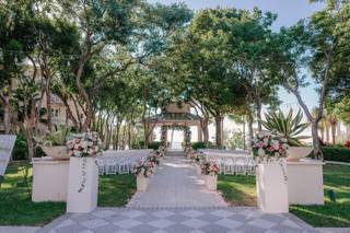 Island Life Events - 6