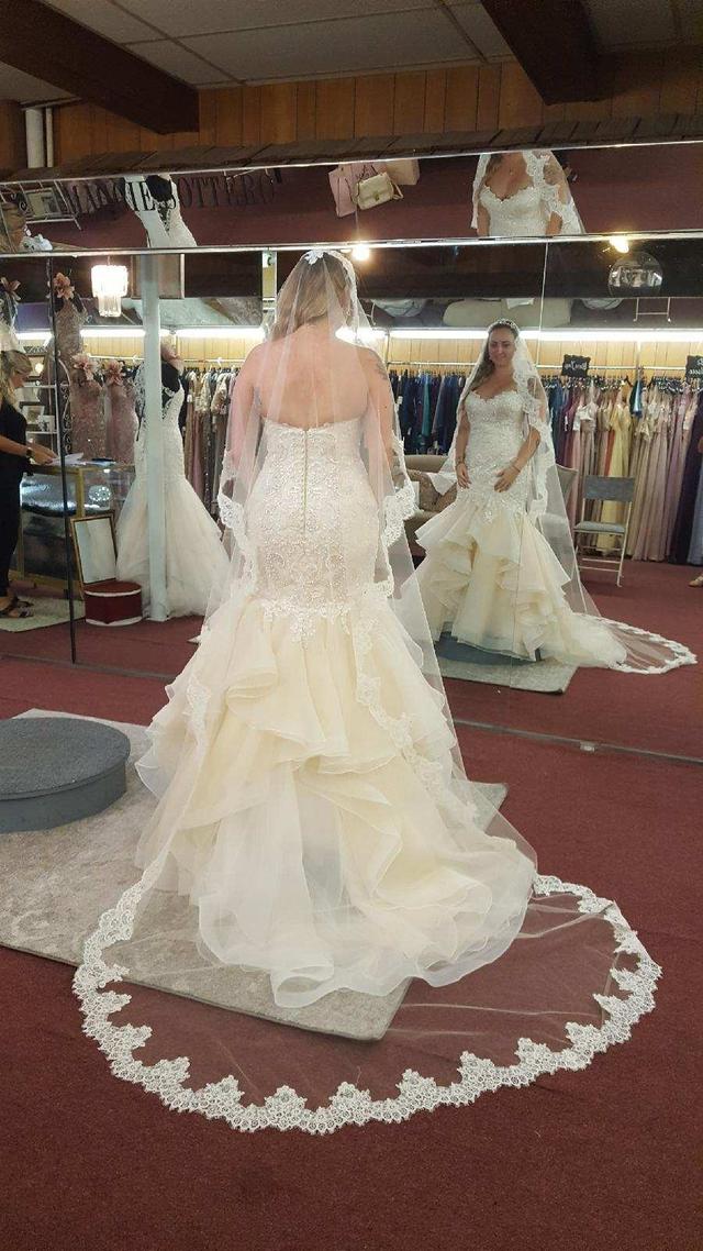 Lady Gray Bridal - 4