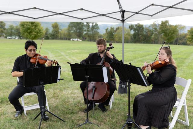 Melodious Strings - 1