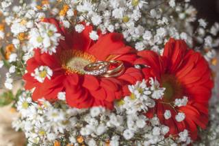 Tropical Pictures - 231