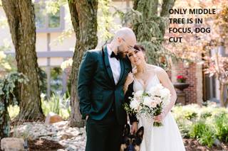 Sheree Nicole Photography - 13
