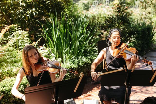 Columbia River Strings - 3