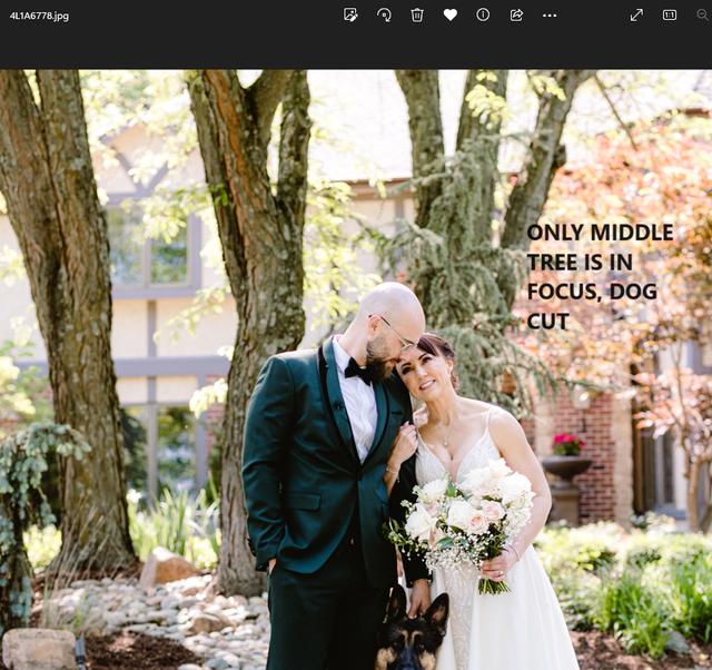 Sheree Nicole Photography - 4
