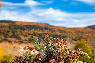 Nancy Bishop Floral Design - 73