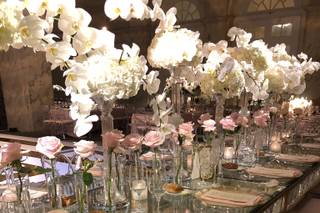 Lauren James Events - 41