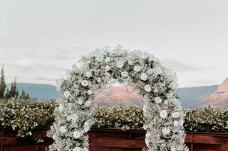 Julia Brown Photo - 19