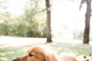 Hannah Wade Photography - 22