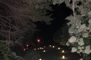 Every Little Detail Wedding and Event Planning - 45