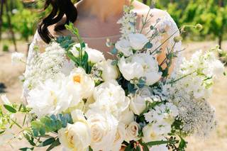 Contour Bridal - 34