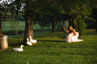 Bogardus Photography - 18