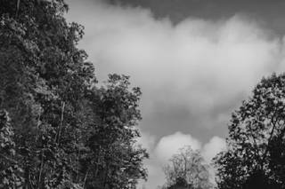 Fregoso Films and Photo - 9
