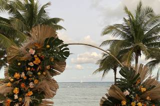 Blue Venado Beach Weddings - 109