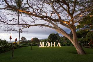 Hawaii Island Events - 25
