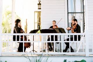Terra Vista Strings - 21