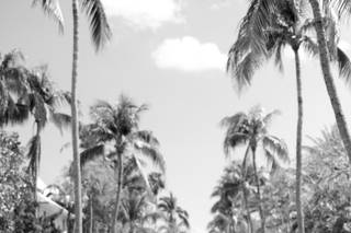 Lindsay Pinto Photography - 5