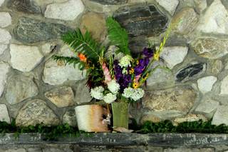 Cedar Circle Farm - 56
