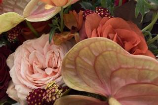 Erica Sarell Weddings - 9