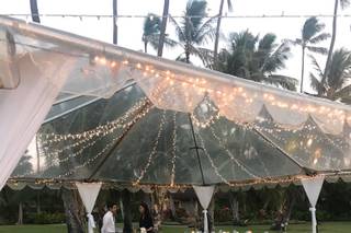 Cherished in Hawaii Weddings - 39