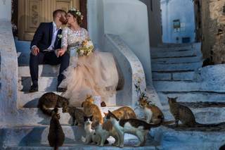 DIVINE WEDDINGS - 32