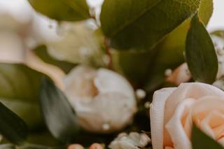 Into Dawn Photography - 8