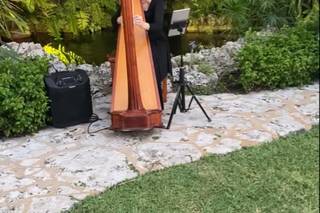 The Elegant Harp - 23