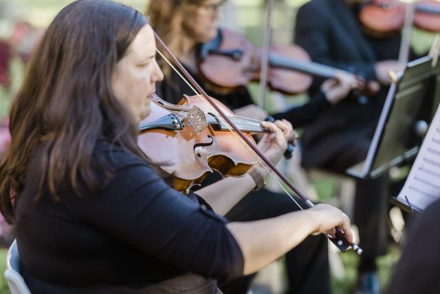 Star String Quartet - 4