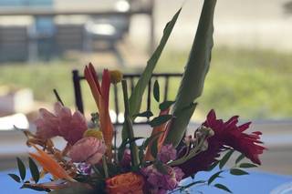 Harbour House Oceanfront - 42