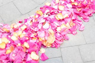 Enchantment Floral - 15