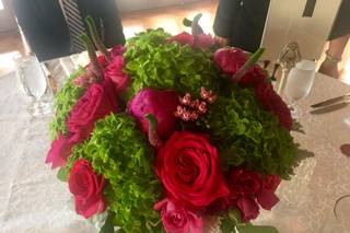 Schyne Photography - 6
