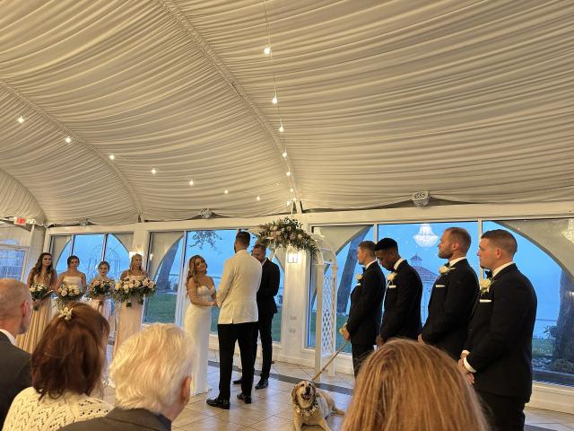 Weddings By Andrew - 1