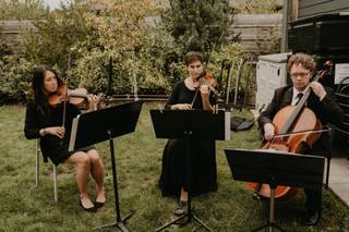 Puget Sound Strings - 14