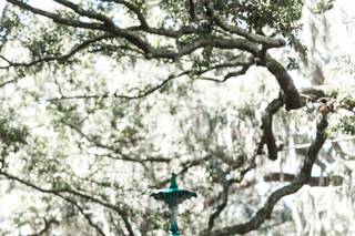 Bronston Photography - 33