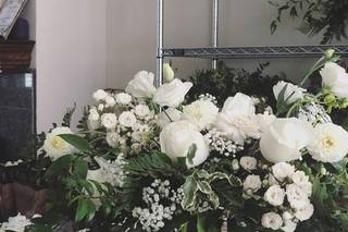 Lovely Peonies - 126
