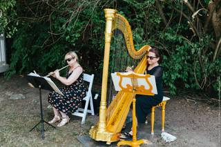 Miriam Weber Brown, Harpist - 10