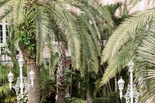 FH Weddings & Events - 8