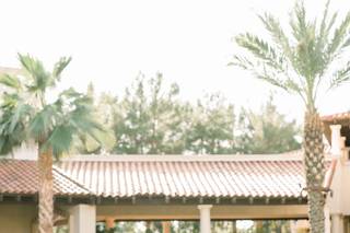 Trisha Shelley Photography - 6
