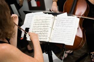 Mahr String Quartet - 5