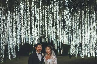 Bow Tie Photo & Video - 15