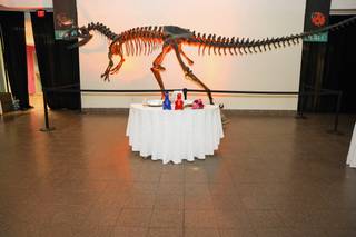 San Diego Natural History Museum - 7
