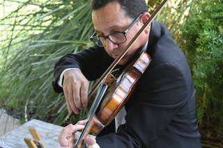 Viol Consort - 27