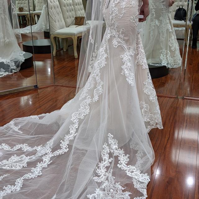 Elegant Lace Bridal & Tuxedo - 1
