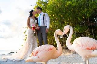 Crooze Photography Aruba - 39