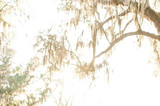 Ledia Tashi Photography - 17