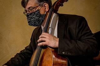 Landolfi String Quartet and Ensemble - 7